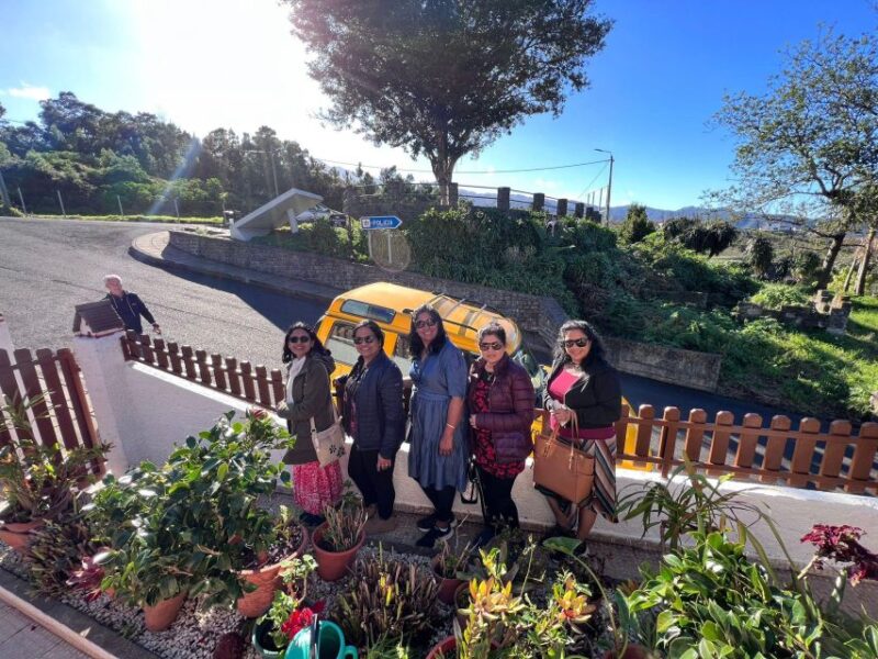 Levada Walk East Santana Full-Day Jeep Tour, Pico do Arieiro - The Unique Experience of This Madeira Jeep Tour