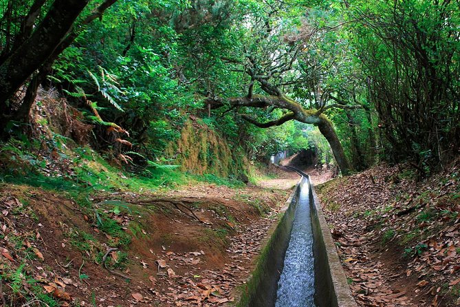 Levada Walk from Ribeiro Frio to Portela - Key Points