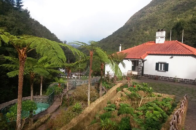Levada Walk from Ribeiro Frio to Portela - Cost and Value of This Madeira Levadas Tour