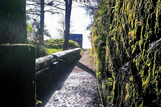 Levada & Waterfalls Hike 25 Fountains, Rabaçal, Risco more Challenging Walk - Comparing This Tour to Other Madeira Adventures