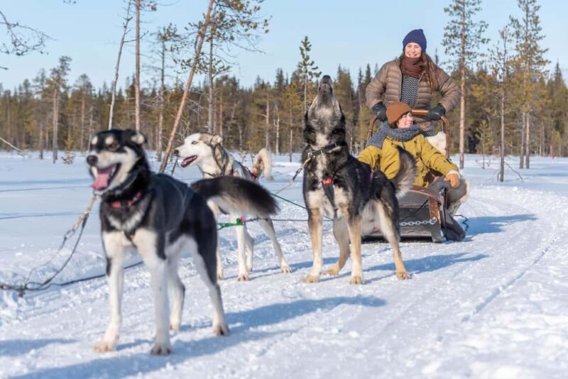 Levi: 2-Day Lapland Forest Cabin Stay with Safaris - The Comfort and Limitations of Cabin Living