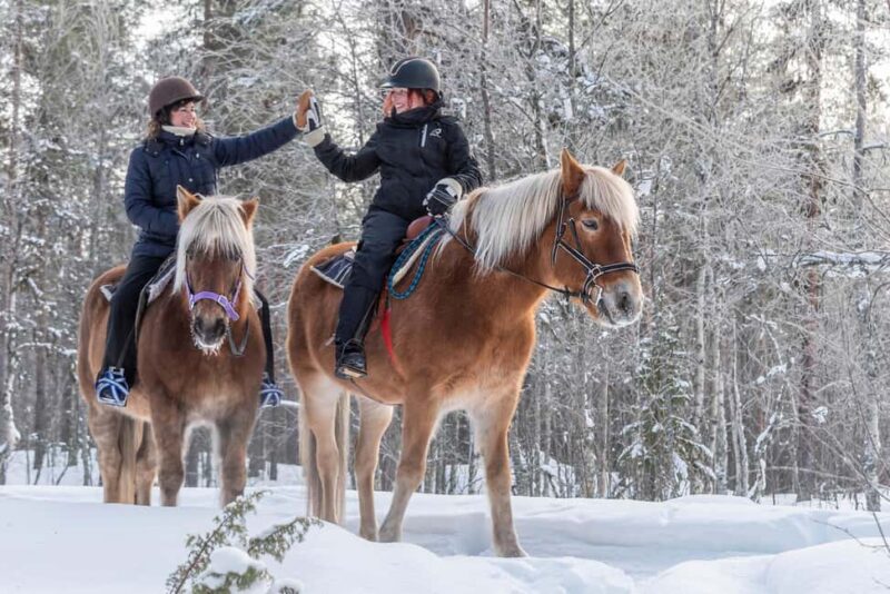 Levi: 2-Day Lapland Forest Cabin Stay with Safaris - Who Will Appreciate This Tour Most?