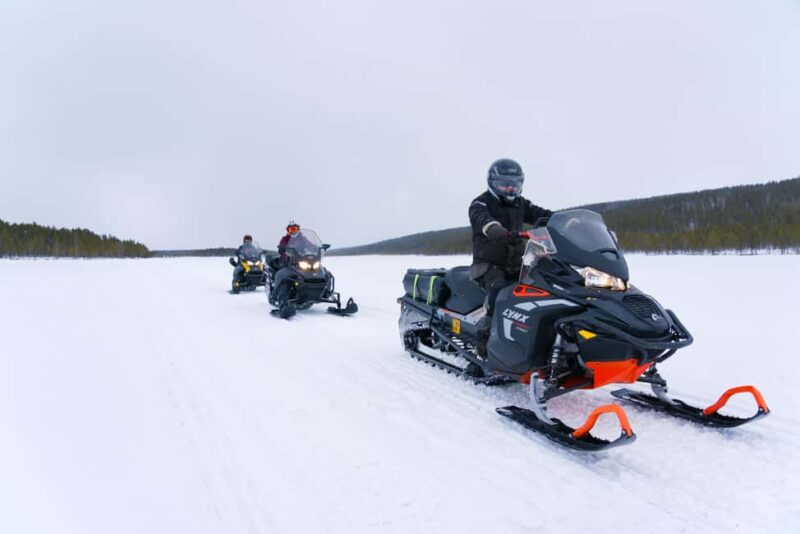 Levi: 2-Hour Snowmobile Safari Led by Local Guides - Key Points