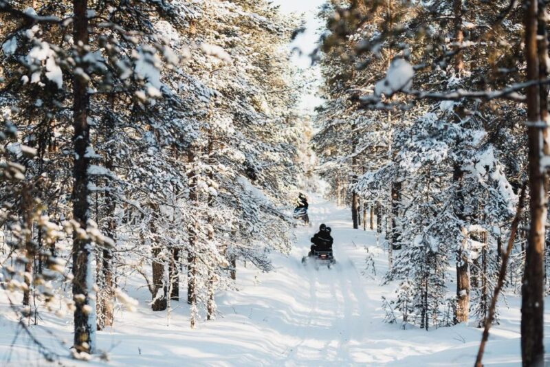 Levi: 3 Hour Snowmobile Safari Around Levi with Coffee Break - The Experience of Snowmobiling in Lapland