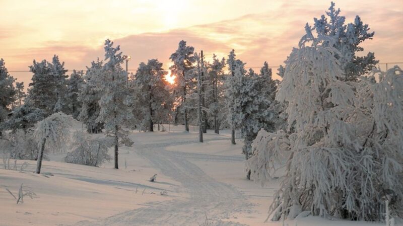 Levi: 4 Hour Snowmobile Safari to the Fells in Levi - Starting Point and Logistics at Myllyjoentie 2