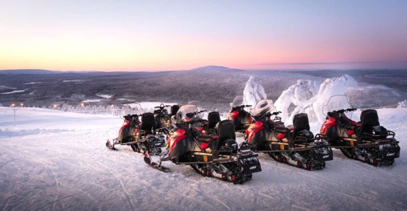 Levi: 4 Hour Snowmobile Safari to the Fells in Levi - The Snowmobile Experience and Safety Measures