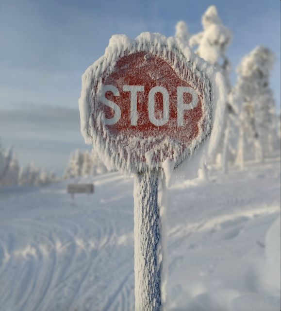 Levi: 4 Hour Snowmobile Safari to the Fells in Levi - Who Should Join This Tour?