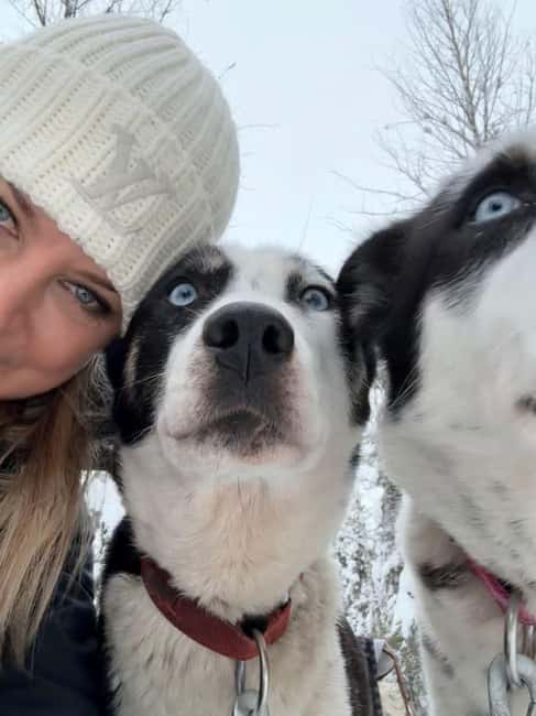 Levi: 5 Km Husky Sledding Ride in Levi - Logistics and Practical Tips for Participants