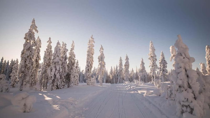 Levi: 6 Hour Authentic Snowmobile Safari to Lappish Villages - Snowmobiling on Scenic and Varied Terrain