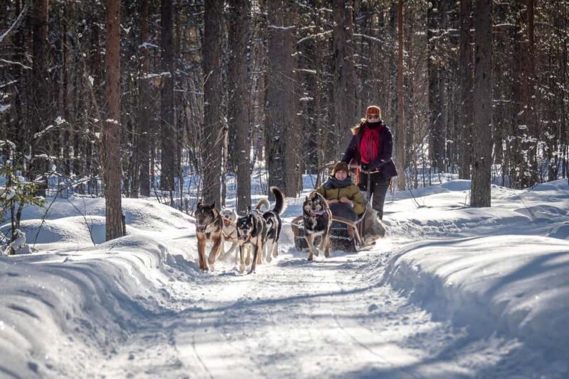 Levi: Arctic Combo Husky & Reindeer Ride - The Husky Sledding Experience in Levi