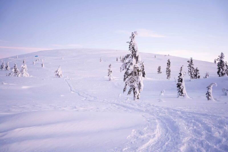 Levi: Backcountry Skiing Adventure - Location and Wilderness Stops