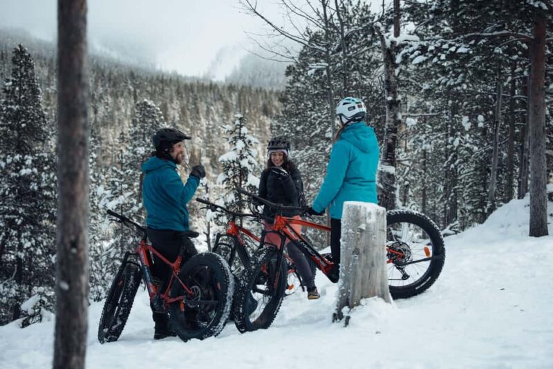 Levi: E-Fatbike Adventure to Find the Northern Lights - Outdoor Break with Hot Drinks and Snacks