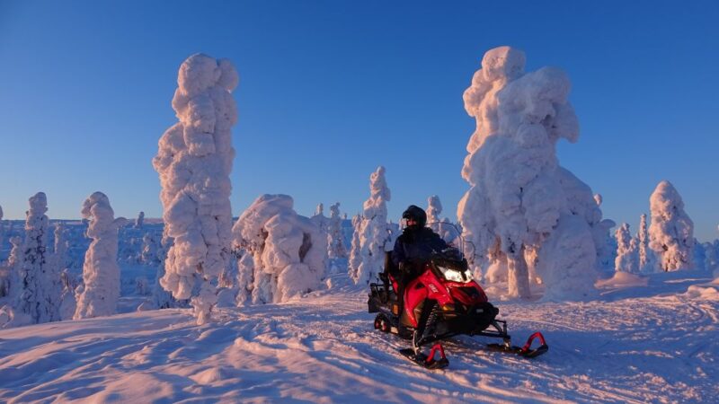 Levi: Evening Snowmobile Safari - The Campfire Experience and Sami Stories