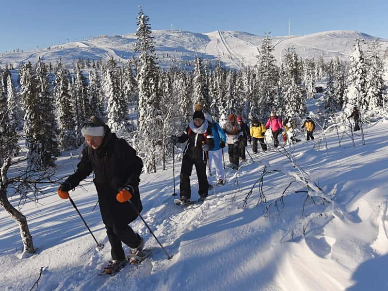 Levi: Evening Snowshoe Walk Under Northern Sky - The Fireside Break and Warmth in Lapland