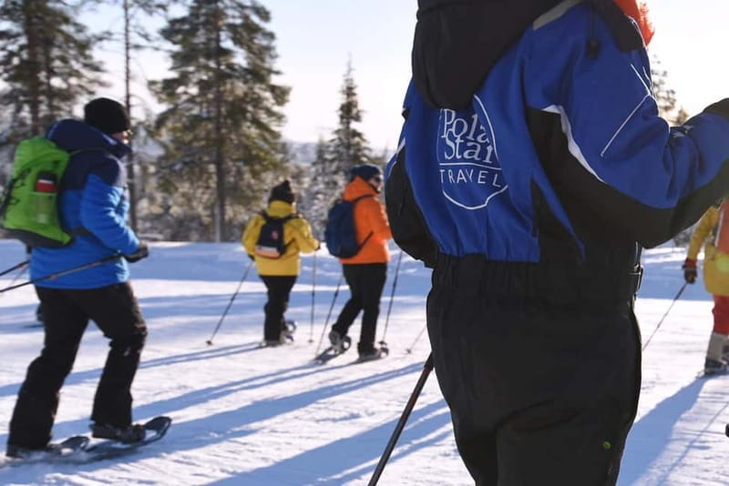 Levi: Evening Snowshoe Walk Under Northern Sky - Who Will Enjoy This Tour Most?