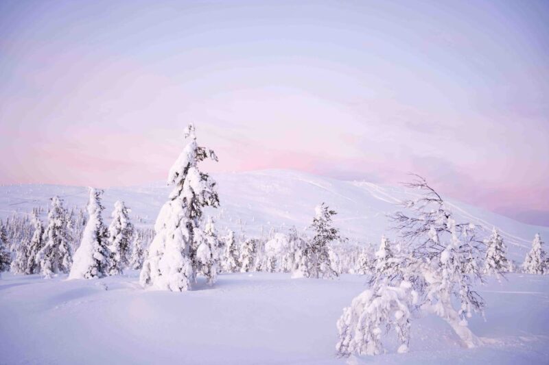 Levi: Explore the Wilderness - Physical Activity and Accessibility