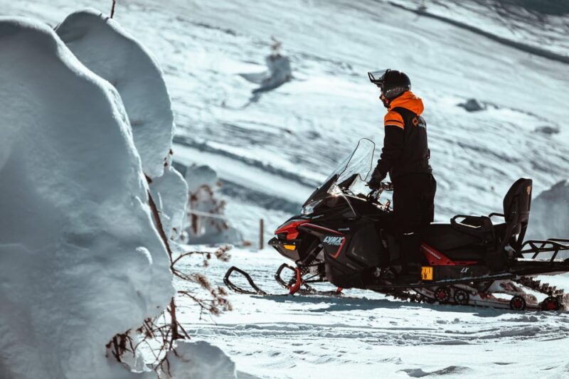 Levi: Full Day Snowmobile Safari to Wilderness - Lunch in the Wilderness: Open Fire Cooking
