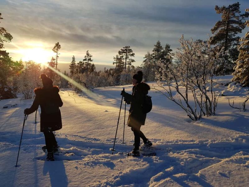 Levi: Gentle Snowshoe Walk in Winter Wilderness - Levi: Gentle Snowshoe Walk in Winter Wilderness