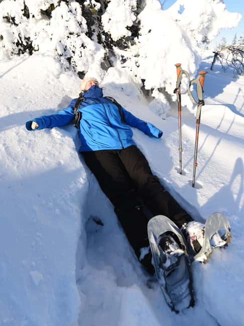 Levi: Gentle Snowshoe Walk in Winter Wilderness - Who Will Enjoy This Tour Most?