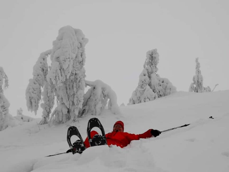 Levi: Gentle Snowshoe Walk in Winter Wilderness - The Role of Polar Star Travel as a Provider