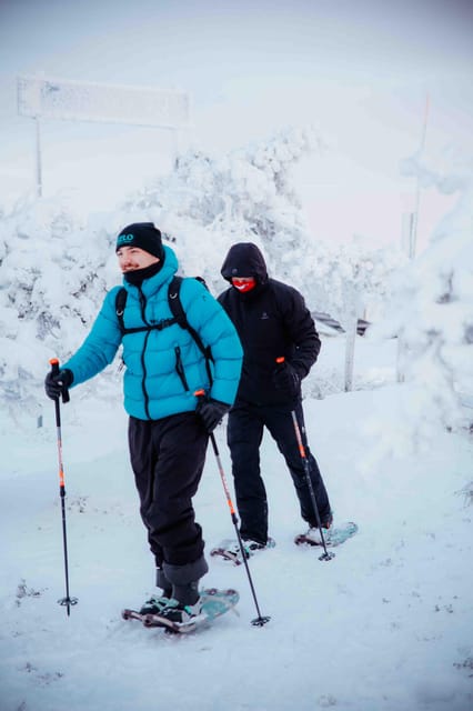 Levi: Guided Snowshoeing Adventure - Key Points