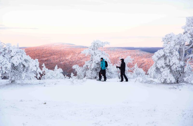 Levi: Guided Snowshoeing Adventure - Photo Opportunities in the Lapland Wilderness