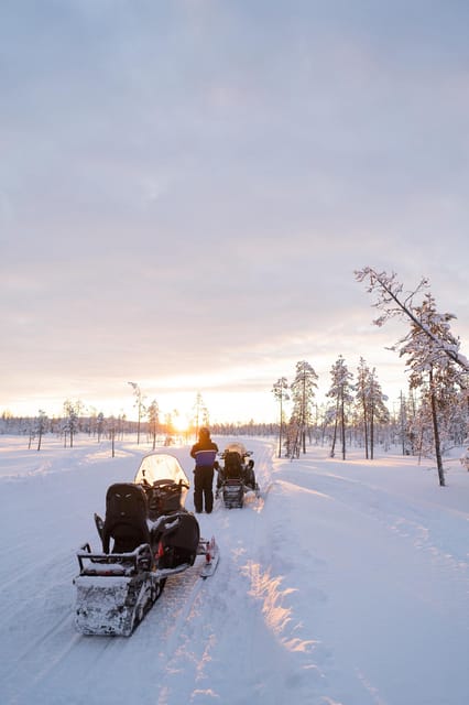 Levi: Husky and Reindeer Farm Visit with Snowmobiling - Reindeer Sledge Ride and Cultural Insights
