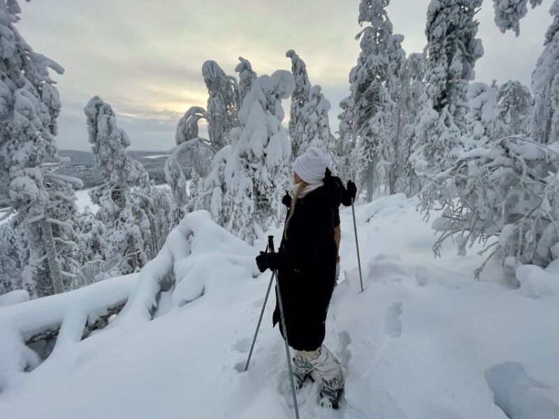 Levi: Lakeside forest snowshoeing - Playful Snow Activities and Photo Opportunities