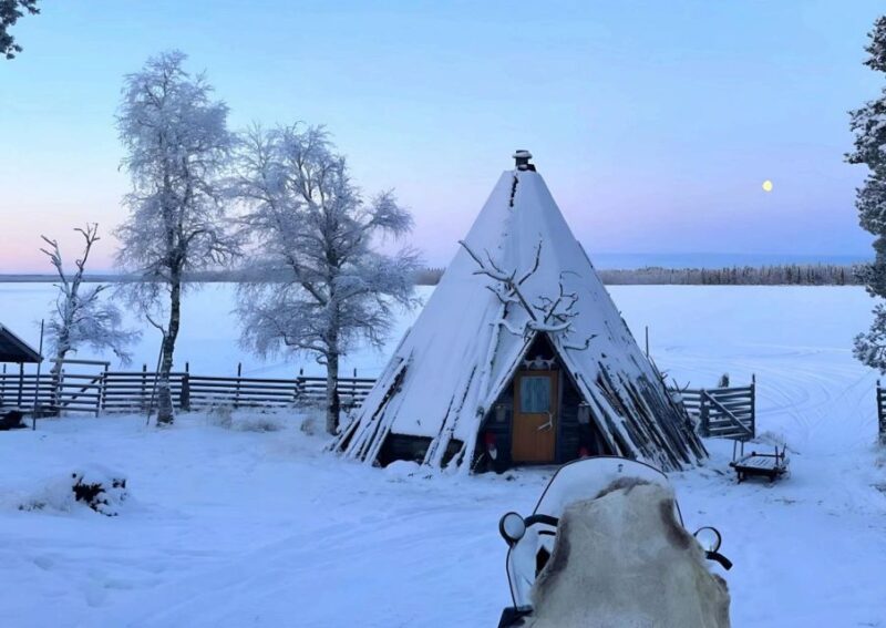Levi: Lapland Reindeer Safari - Key Points