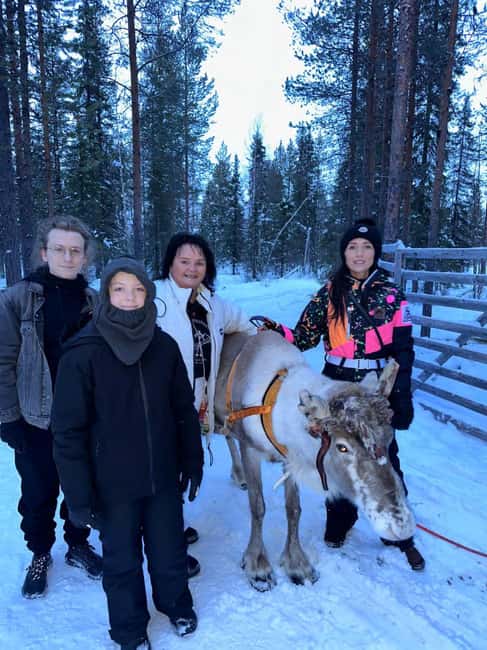 Levi: Meet Reindeer and Visit Husky Kennel - Meet Reindeer and Huskies in Levi, Finland for $30
