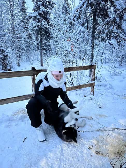 Levi: Meet Reindeer and Visit Husky Kennel - Logistics and Meeting Point Details