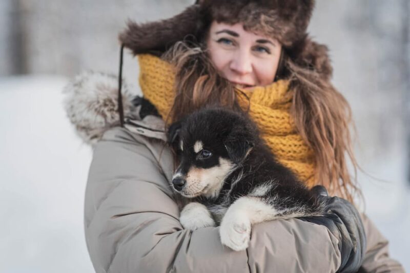 Levi: Nature Walk with Huskies - Key Points