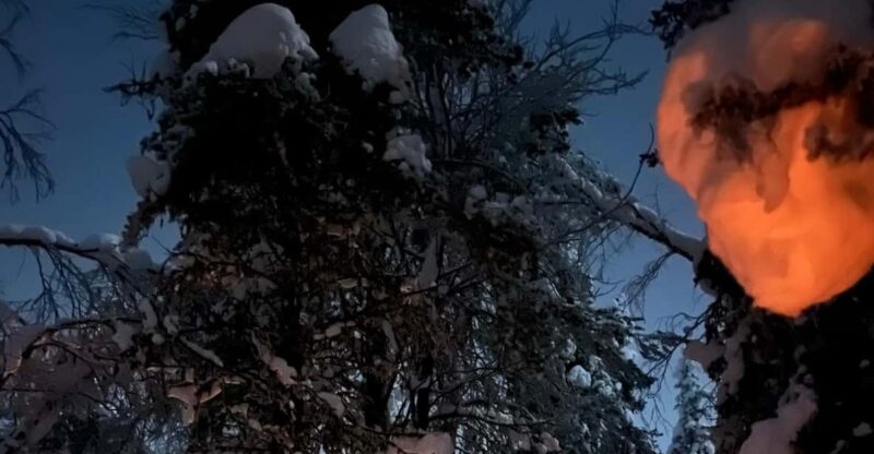 Levi: Northern Lights Adventure in the Wild, Campfire Treats - Suitability and Physical Requirements