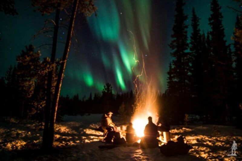 Levi: Northern Lights Hunt Including Campfire Snacks - Comparing Similar Arctic Tours