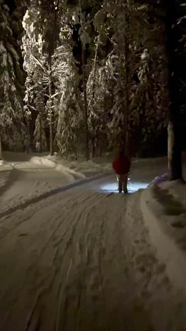 Levi: Northern Lights Kick Sled Tour with Reindeer Visit - Discover the Unique Experience of the Levi Northern Lights Kick Sled Tour