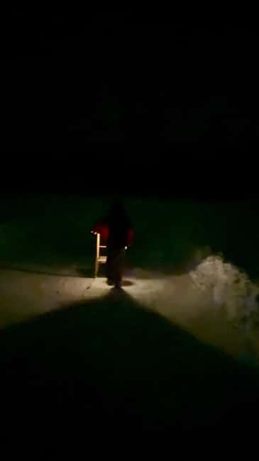 Levi: Northern Lights Kick Sled Tour with Reindeer Visit - Northern Lights Search with a Local Guide