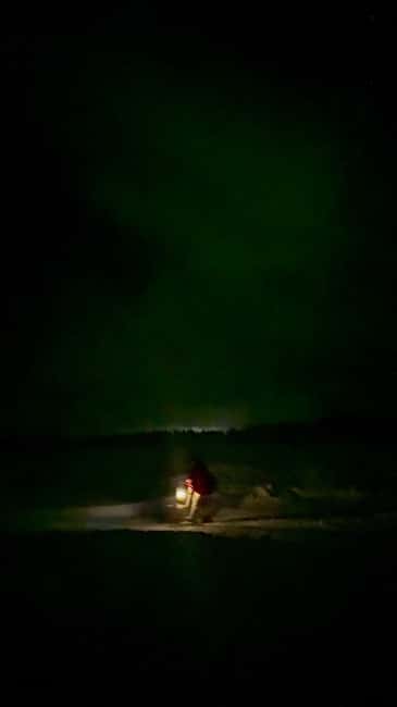 Levi: Northern Lights Kick Sled Tour with Reindeer Visit - Reindeer Visit and Campfire Experience