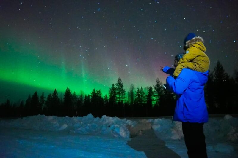 Levi: Northern Lights Tour with Guaranteed Sightings - Key Points