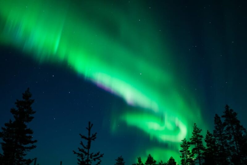 Levi: Northern Lights Tour with Guaranteed Sightings - Unmatched Customer Satisfaction and Repeat Potential