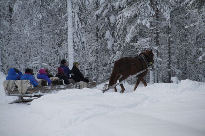 Levi: One Horse Open Sleigh Ride - The Cozy Fire and Local Snacks