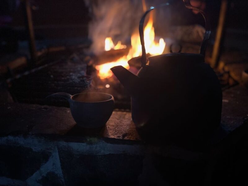Levi: Pallas-Yllästunturi National Park Snowshoeing Tour - Discover the Pallas-Yllästunturi National Park Snowshoe Adventure