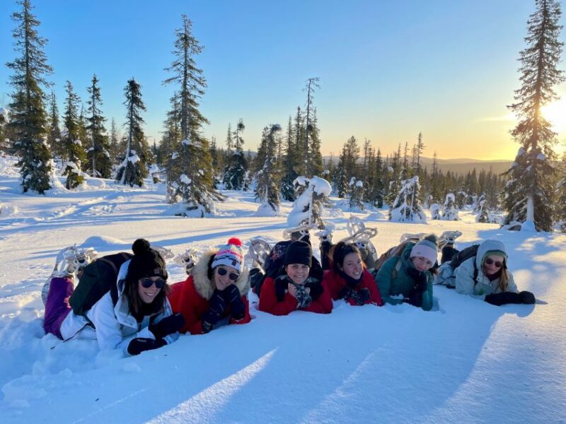 Levi: Pallas-Yllästunturi National Park Snowshoeing Tour - Key Points