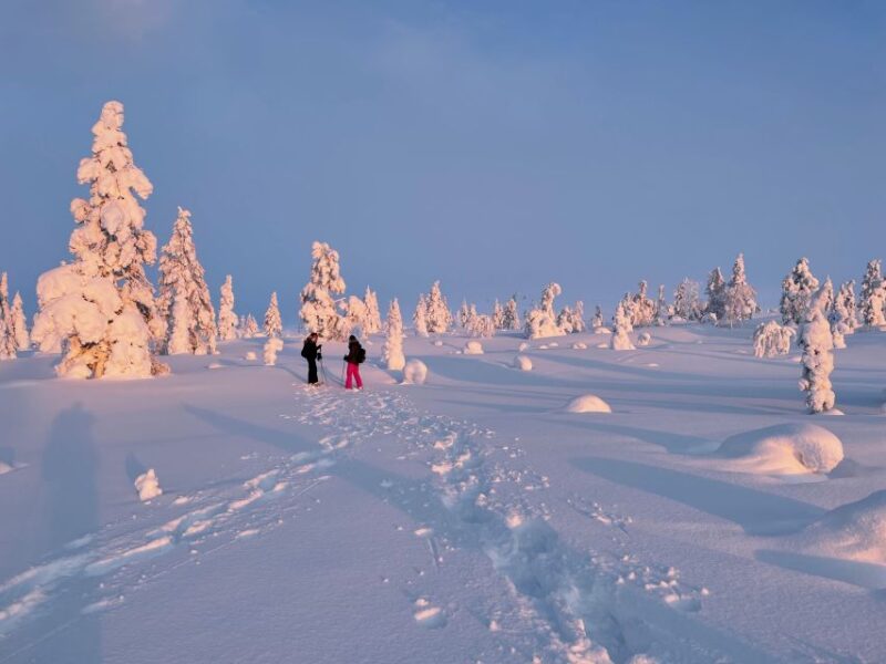 Levi: Pallas-Yllästunturi National Park Snowshoeing Tour - Who Will Appreciate This Tour Most?