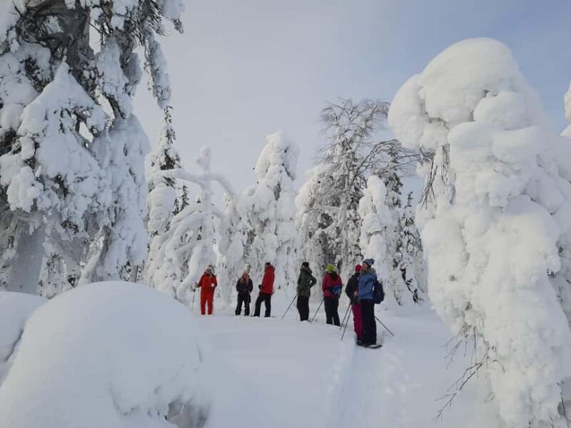 Levi: Panoramic Snowshoeing at the Top of Levi Fell - Learning about Arctic Nature and Local Culture