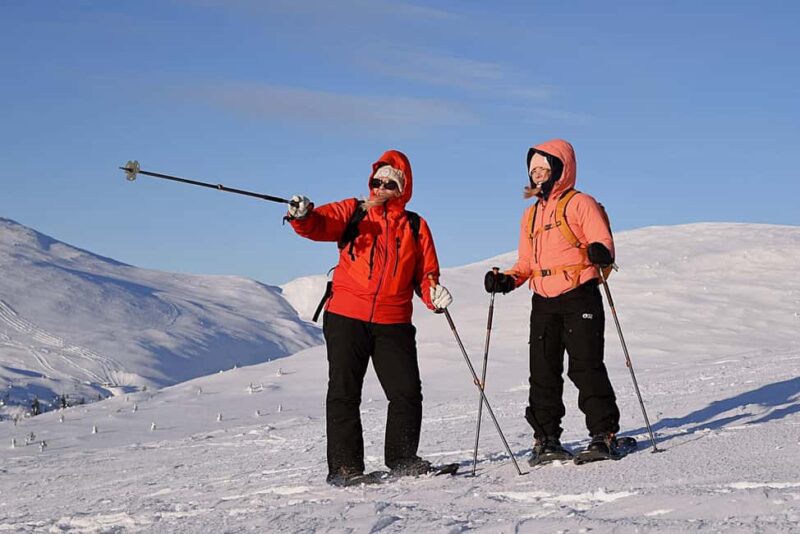 Levi: Panoramic Snowshoeing at the Top of Levi Fell - Forest Break with Hot Drinks and Snacks