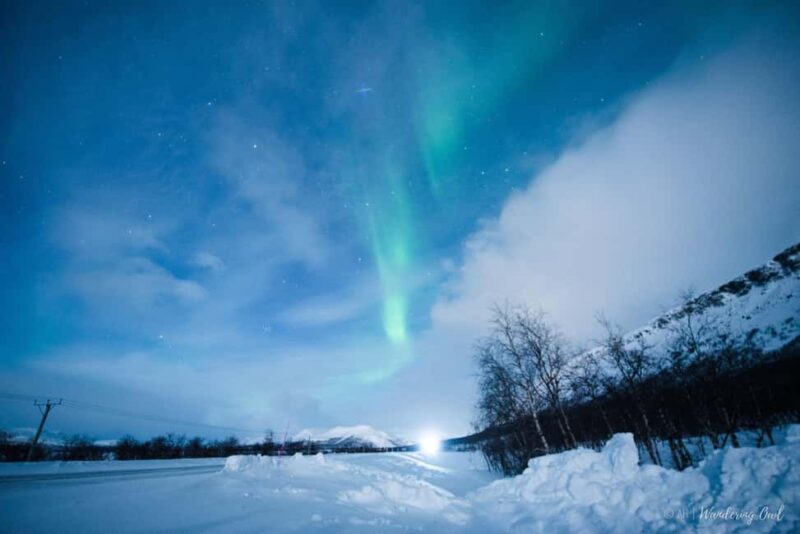 Levi: Private Northern Lights Hunt in the Wilderness - Food and Drink to Keep You Warm