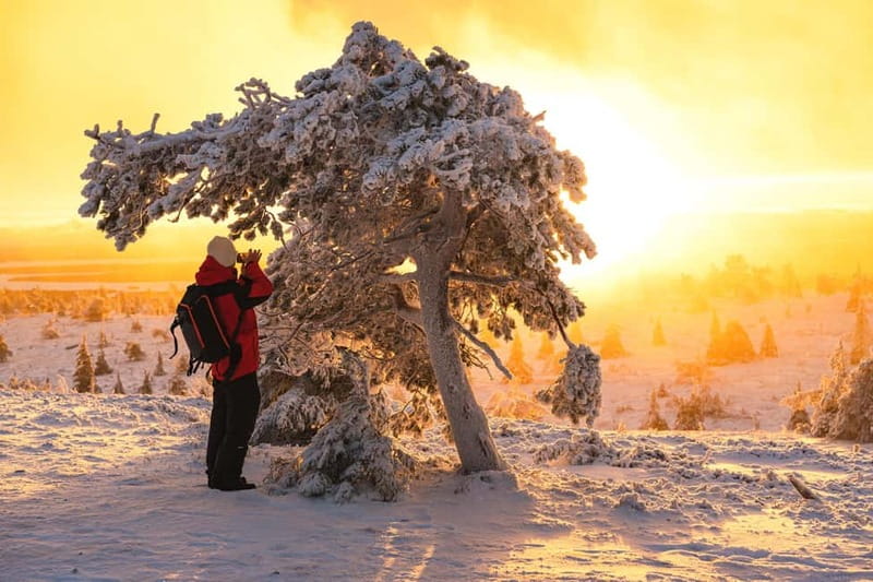 Levi: Private Photoshoot in Nature Location in Levi - Why Choose Beyond Arctic for Your Lapland Photoshoot?