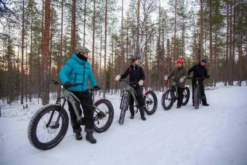 Levi: Reindeer Farm E-Fatbike Safari - Visiting a Charming Reindeer Farm