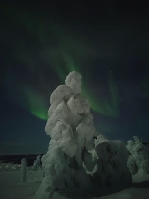 Levi: Search for Northern Lights in snowmobile sleigh - Tips for Capturing the Northern Lights on Your Camera