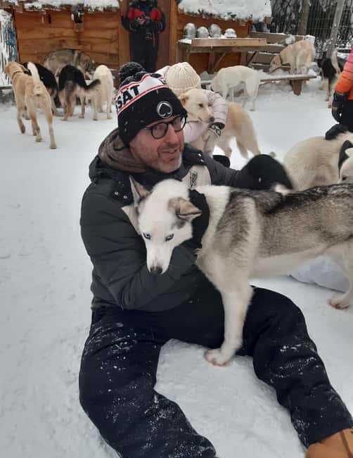 Levi: Self-Drive 2 KM Husky Sledding Experience - Key Points